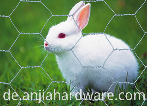 Rabbit mesh 